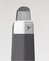 DERMAPORE - Charcoal | Image Alt here